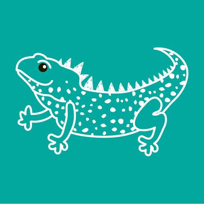 little giants kids store – nought & more