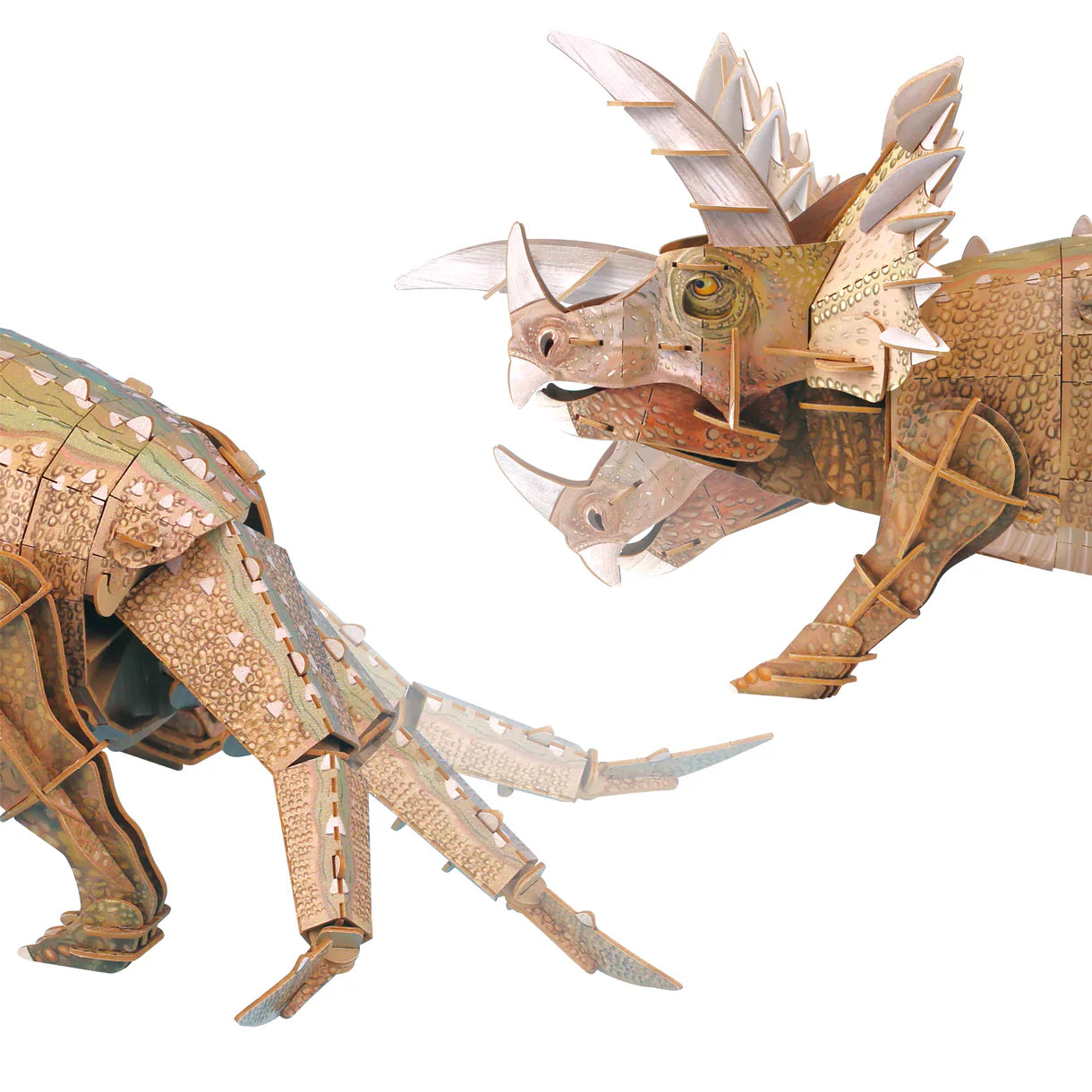 Mieredu Adjustable 3D Puzzle - Triceratops