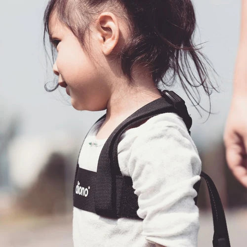 Diono Secure Steps Security Harness