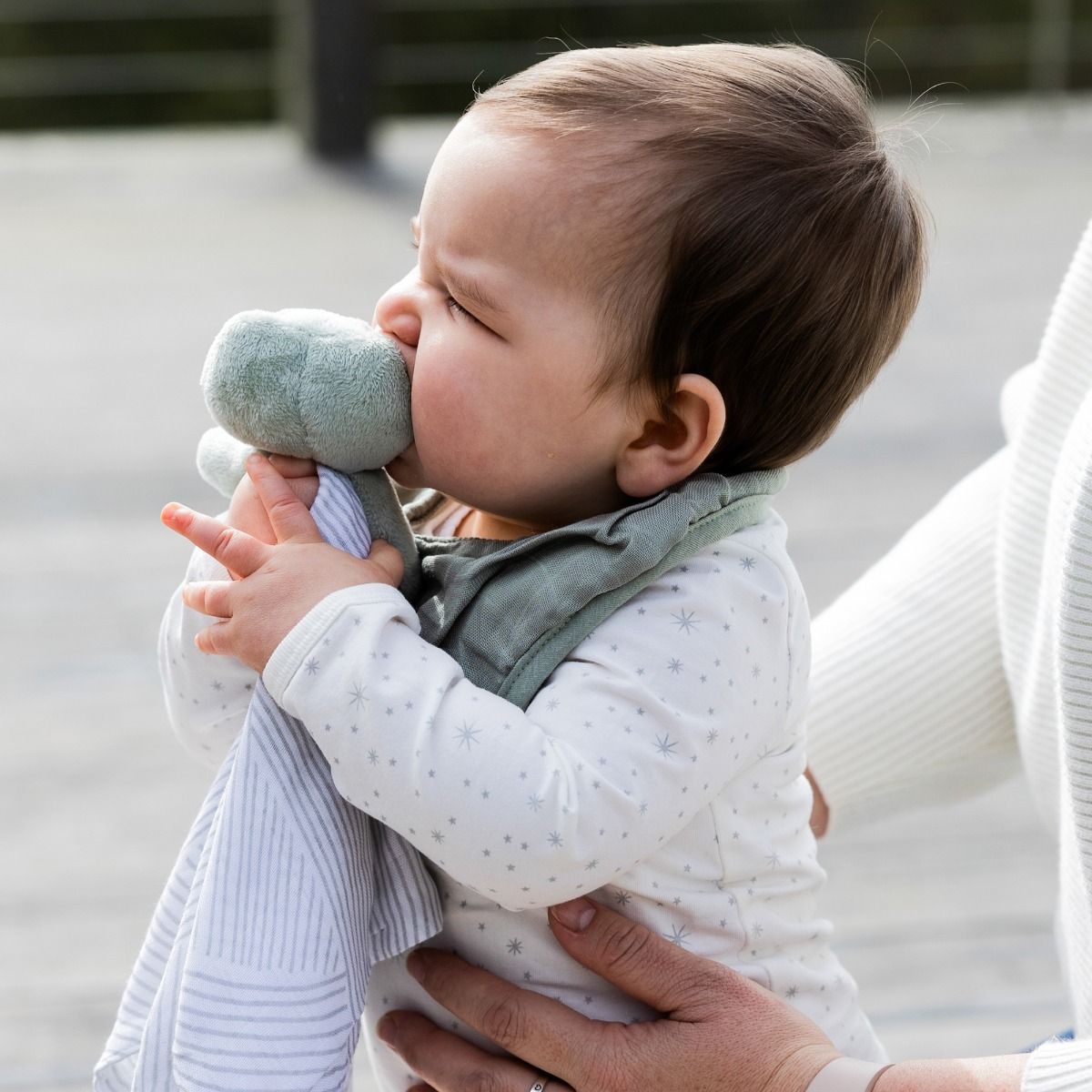 Little Bamboo Muslin Bibs - 2 pack