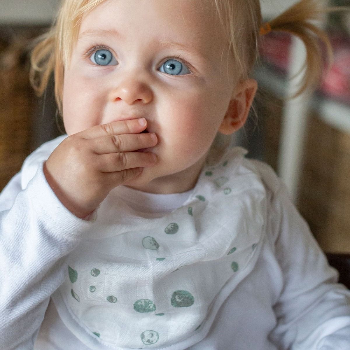 Little Bamboo Muslin Bibs - 2 pack