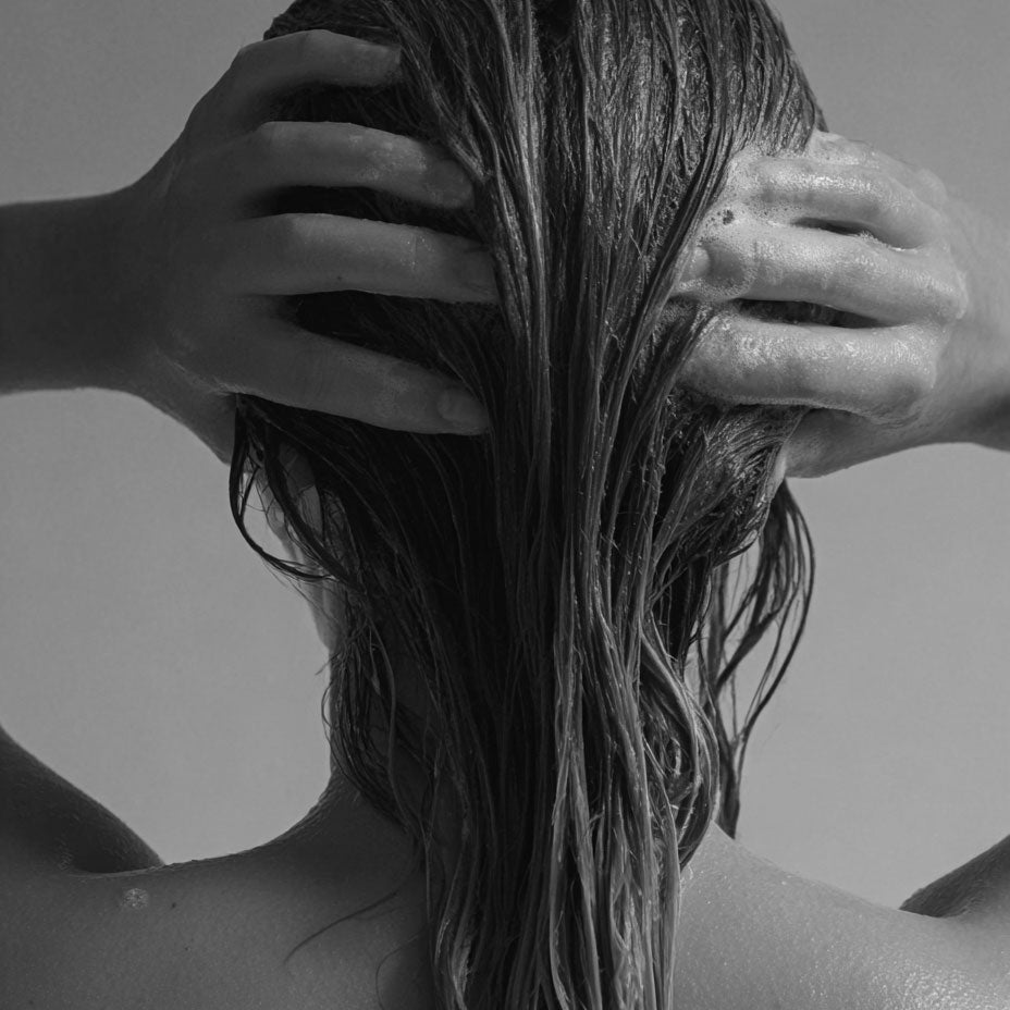 San Margo In-Residencia Hydrating Shampoo