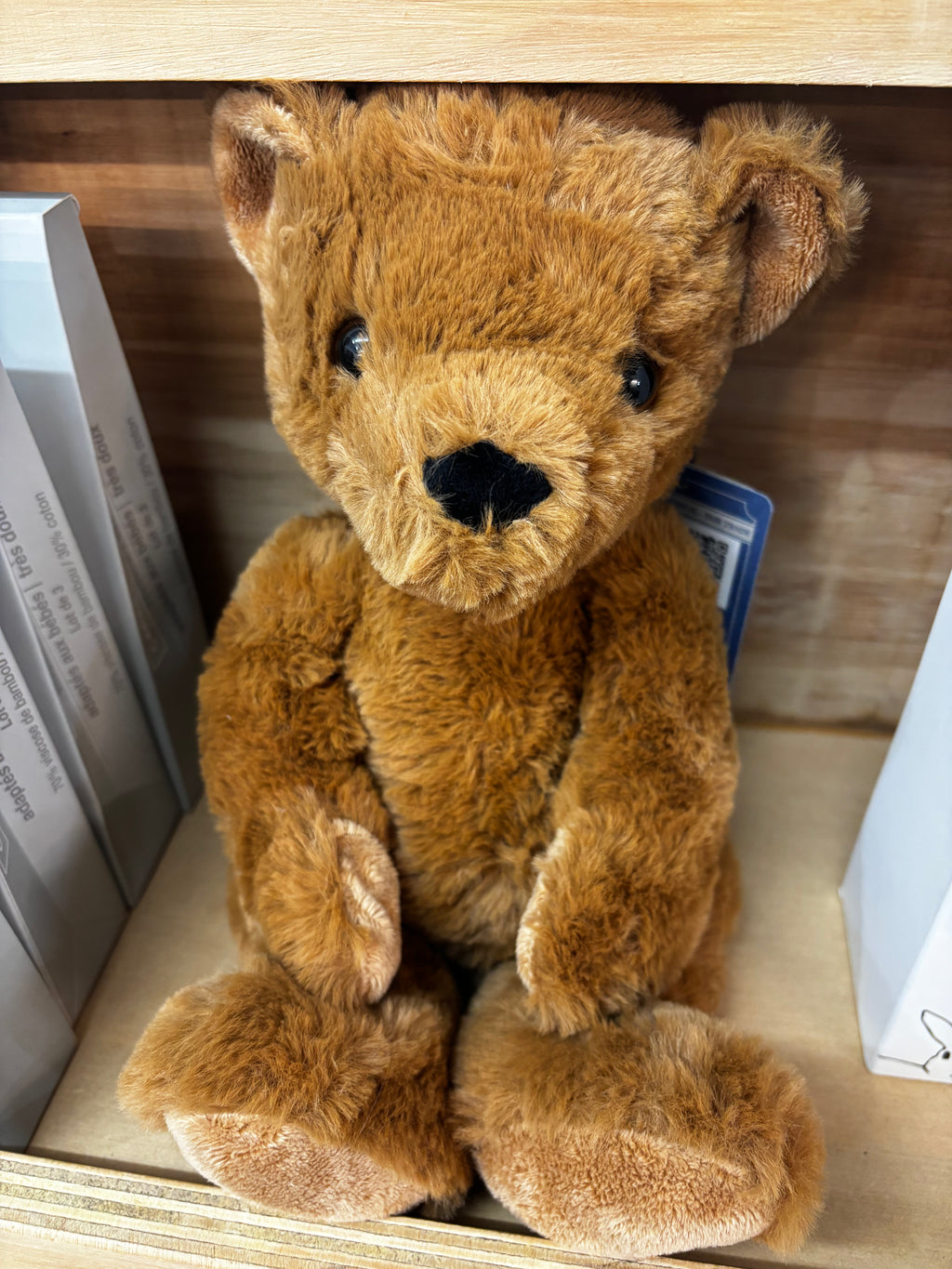 Wonderlings Theodore Teddy