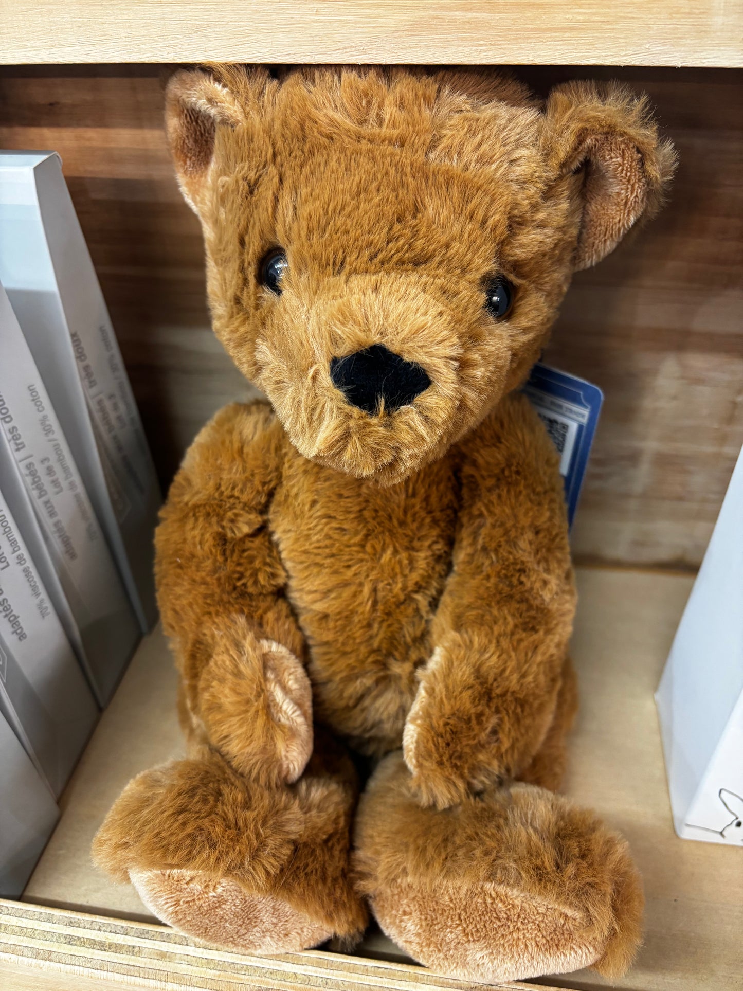 Wonderlings Theodore Teddy