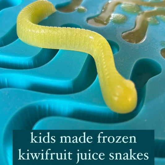 Silicone Moulds - Snakes