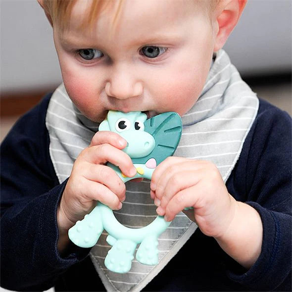 Bibado Dawn the Dinosaur Teether