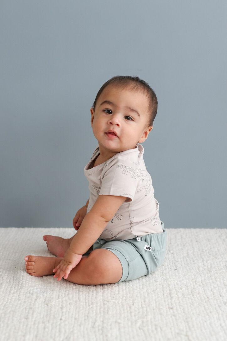 Burrow & Be Dino Roar Short Sleeve Bodysuit
