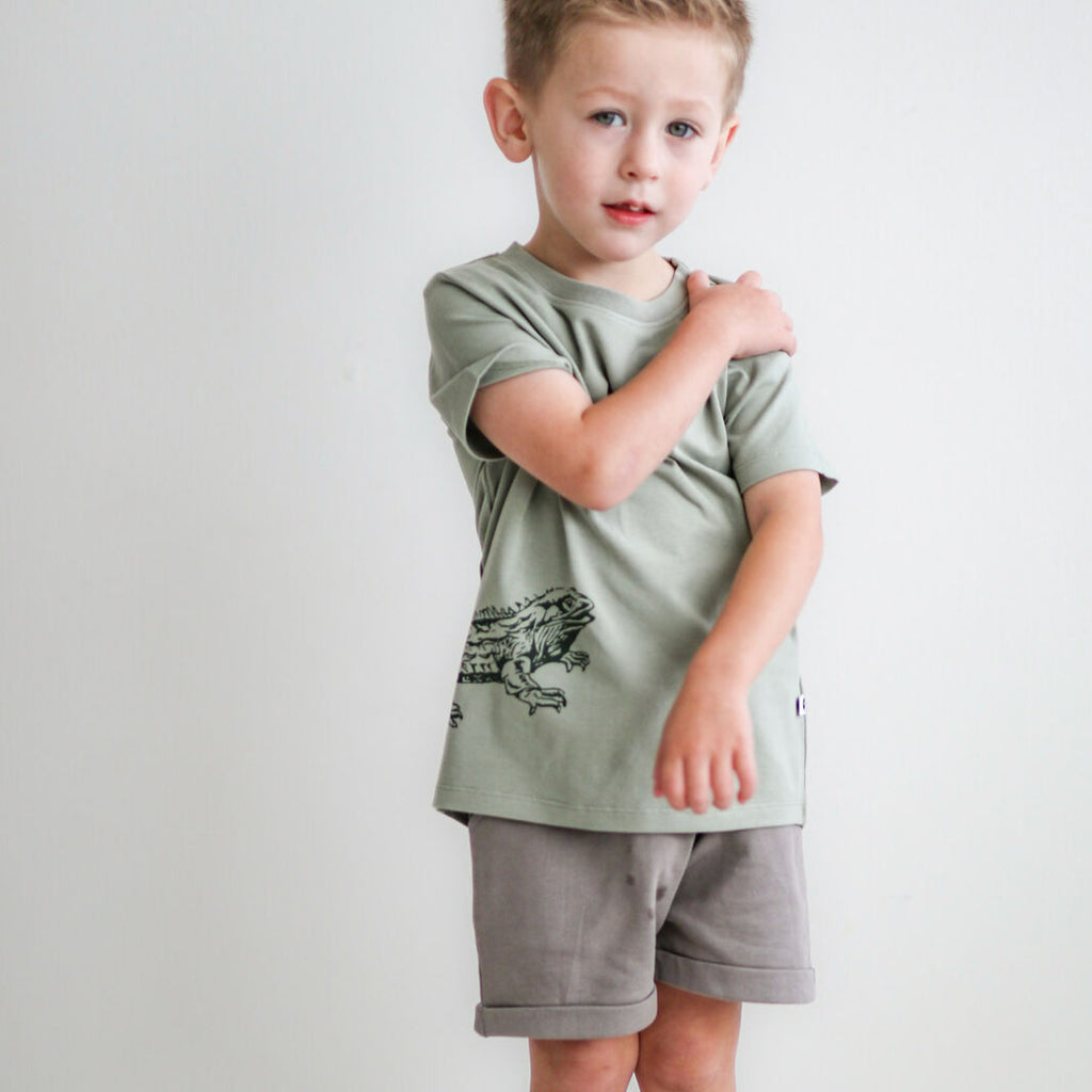 Young boy wearing a green t-shirt and gray shorts on a white background