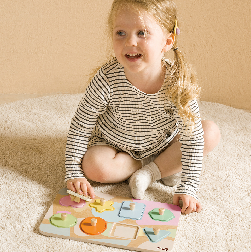Classic World Wooden Geometry Puzzle