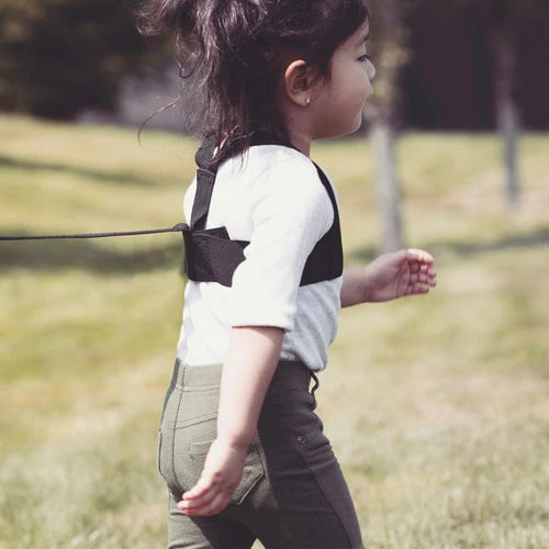 Diono Secure Steps Security Harness