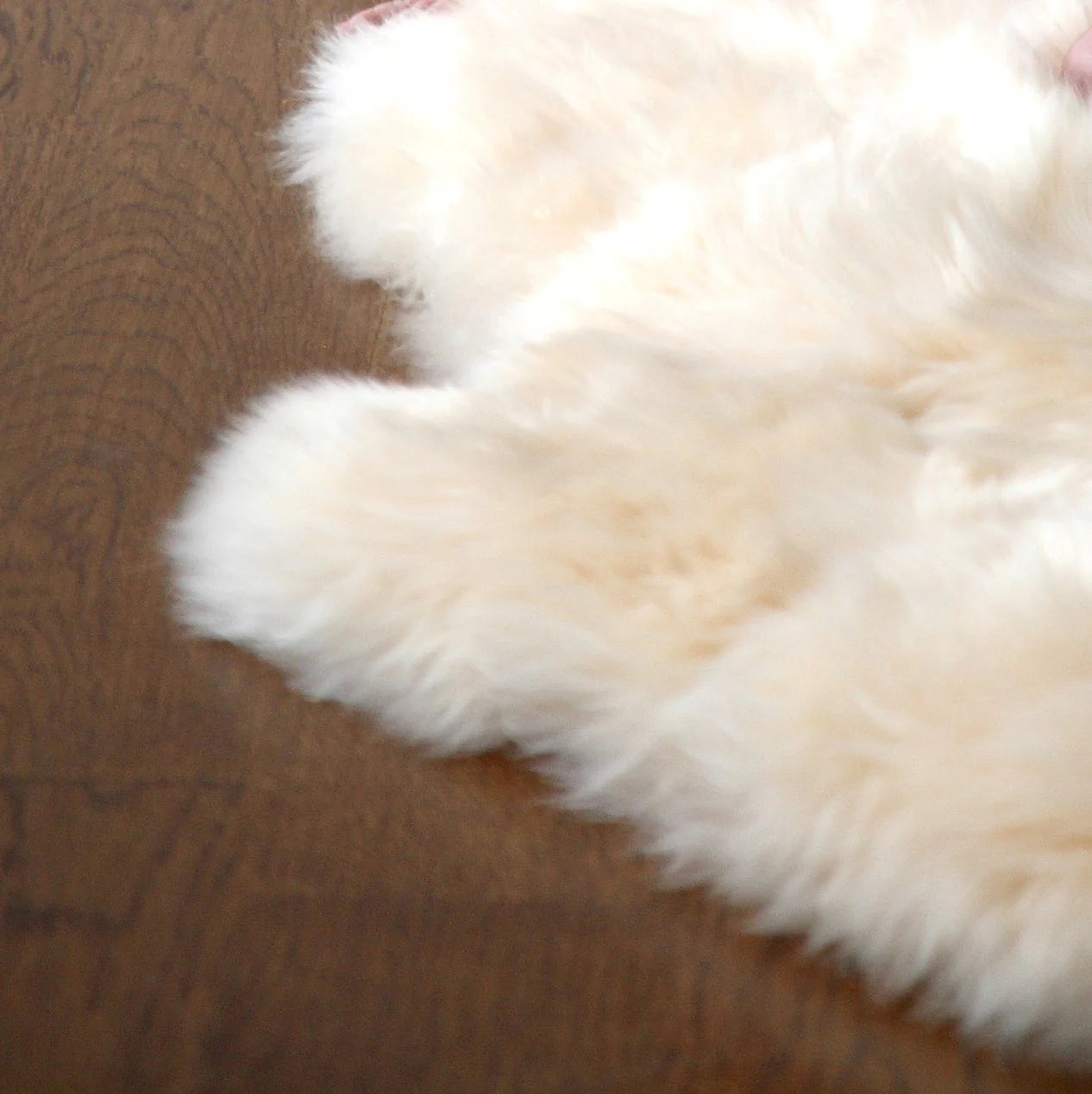 Fibre by Auskin Long Wool Baby Sheepskin Rug - Bone