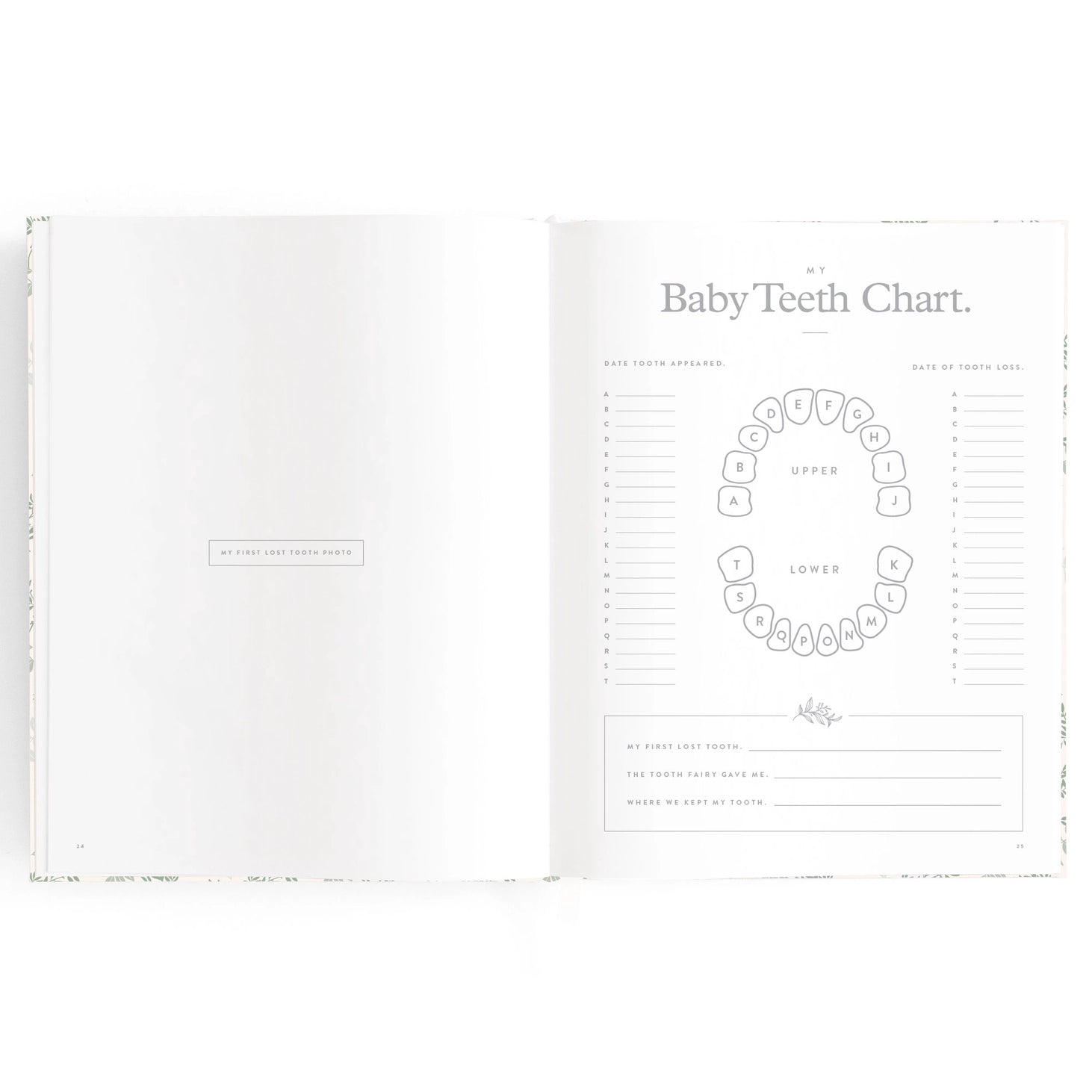 Fox & Fallow Baby Book - Cypress
