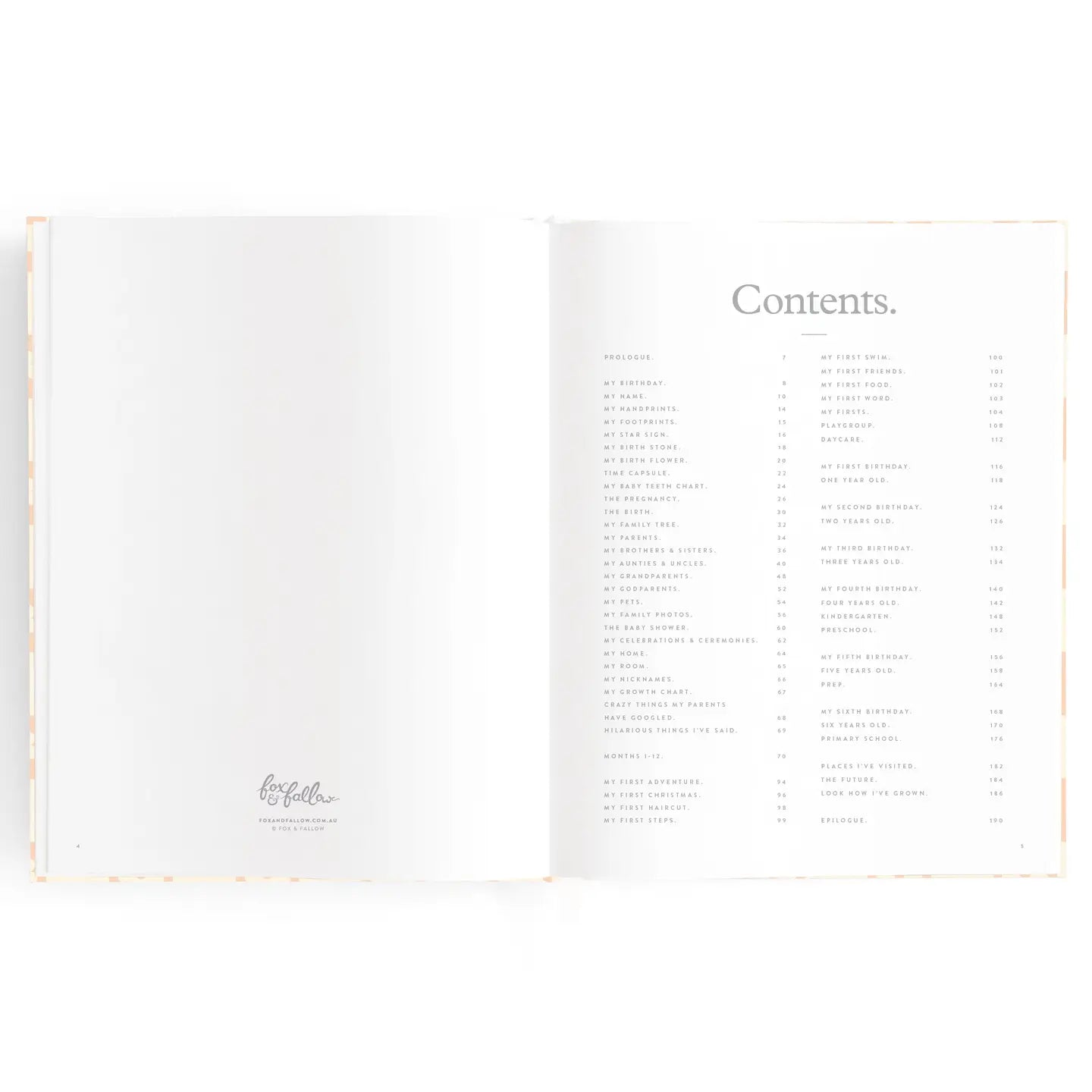 Fox & Fallow Baby Book - Daisy Check