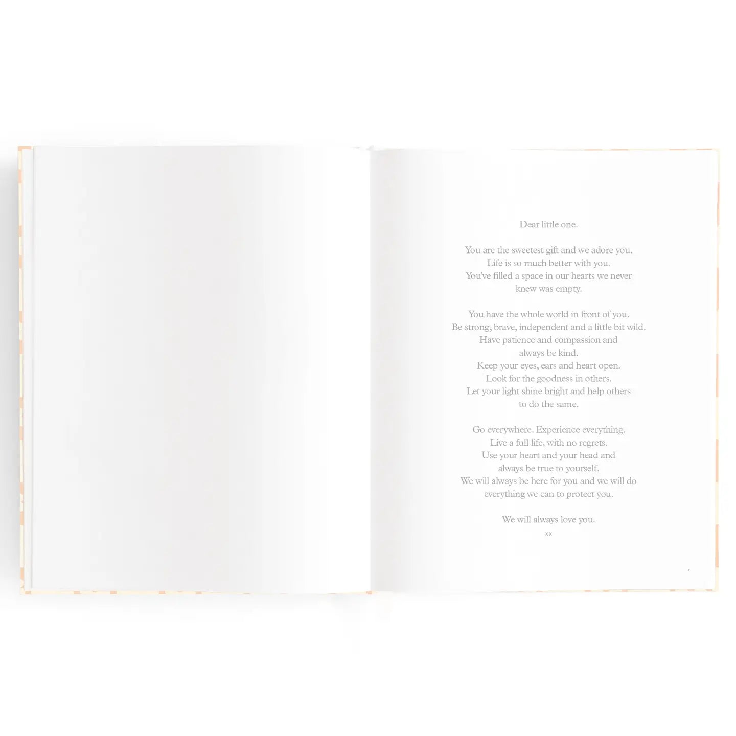 Fox & Fallow Baby Book - Daisy Check