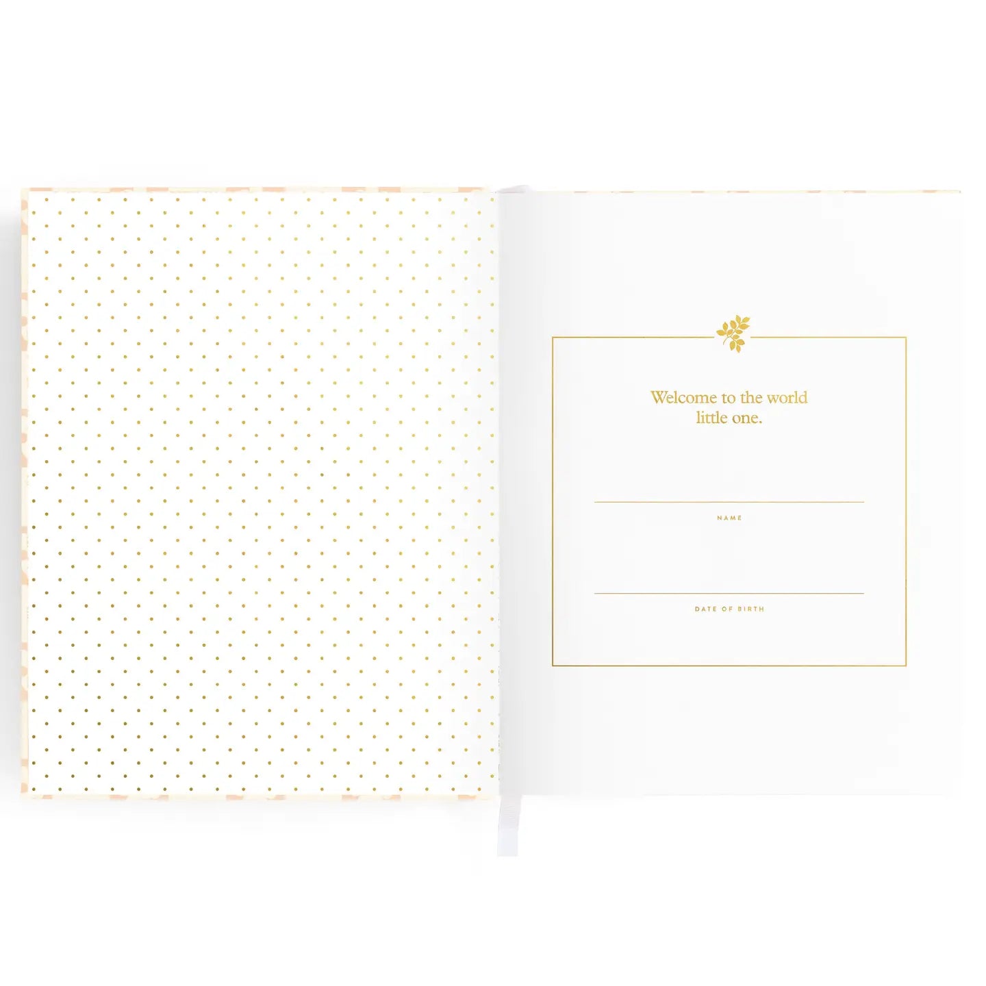 Fox & Fallow Baby Book - Daisy Check