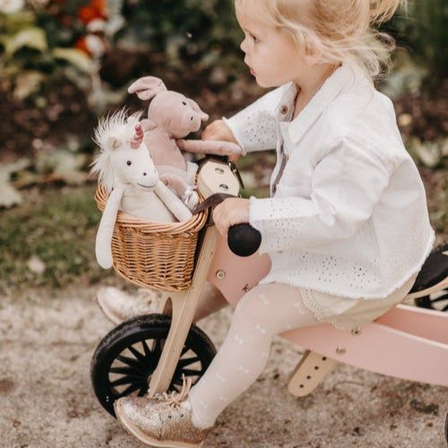 Child on a tricycle with stuffed animals in a basket, outdoors.