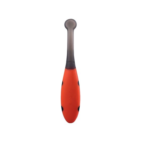 Mombella Silicone Ladybug Training Toothbrush