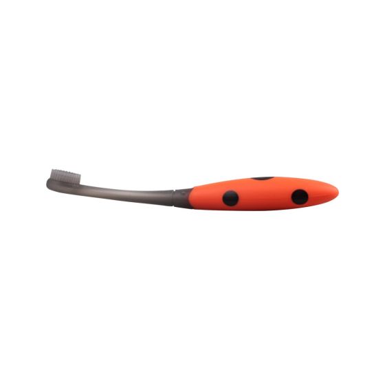 Mombella Silicone Ladybug Training Toothbrush