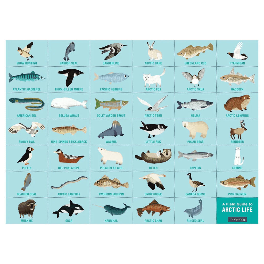 Mudpuppy Arctic Life 64 Piece Search & Find Puzzle