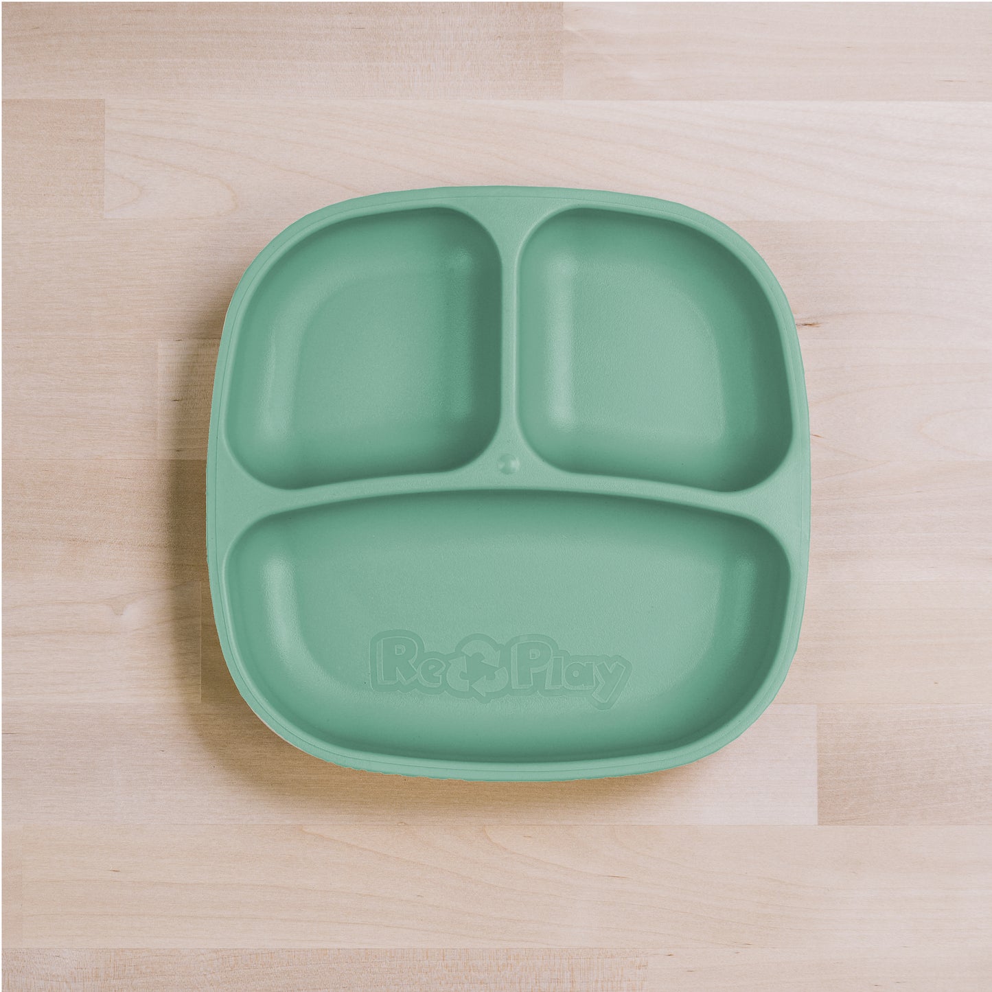 Re-Play Divider Plate