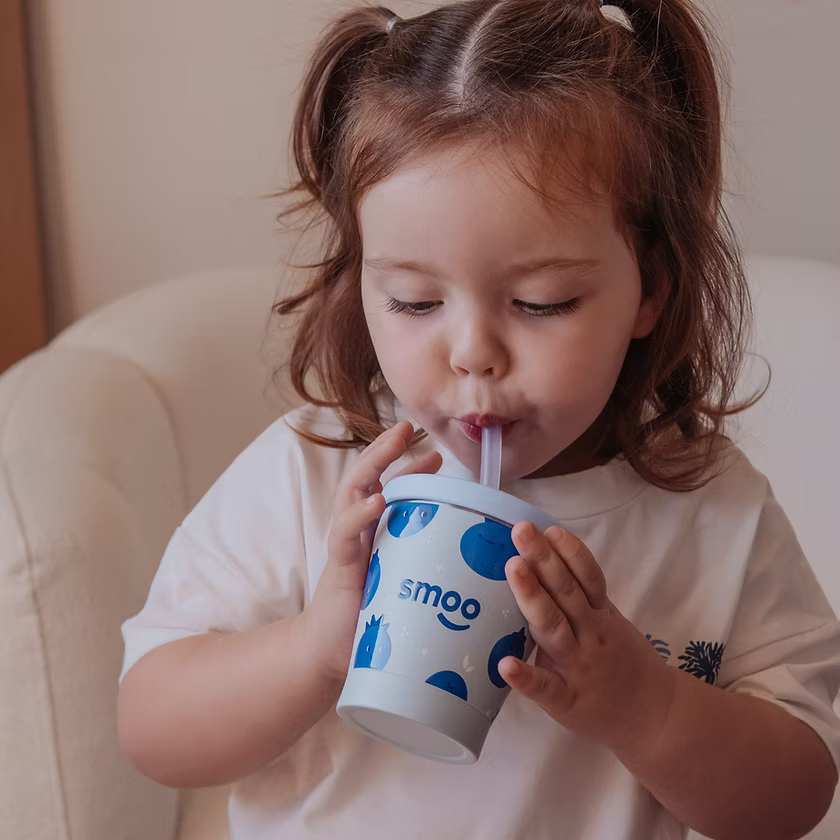 Smoo Stainless Steel Smoothie Cup - Blueberry