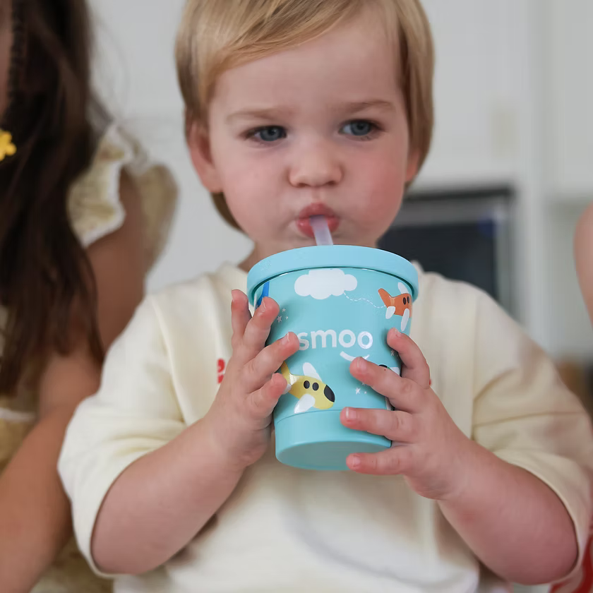 Smoo Stainless Steel Smoothie Cup - Planes