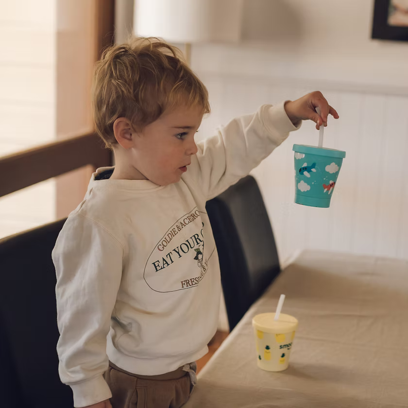 Smoo Stainless Steel Smoothie Cup - Planes