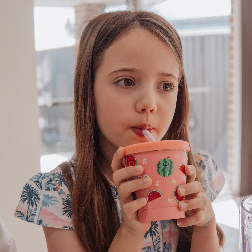 Smoo Stainless Steel Smoothie Cup - Watermelon