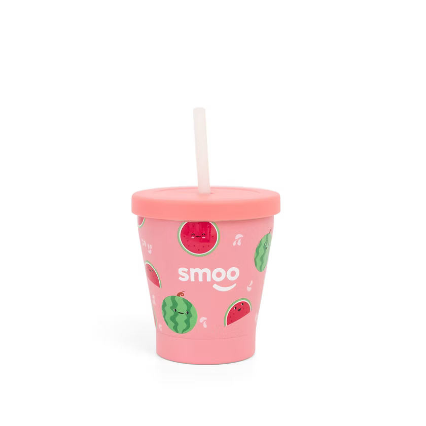 Smoo Stainless Steel Smoothie Cup - Watermelon