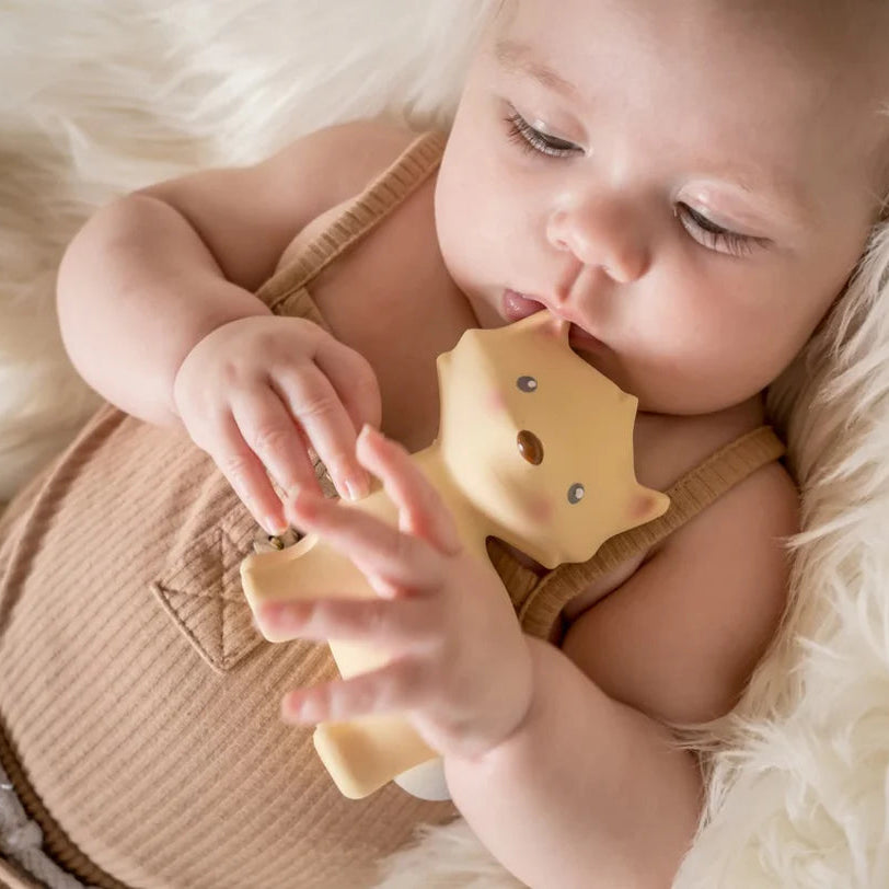 Tikiri Collection My 1st Arctic Animals - Rattle & Bath Toy