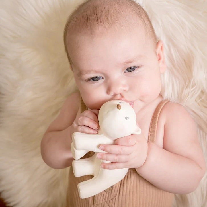 Tikiri Collection My 1st Arctic Animals - Rattle & Bath Toy