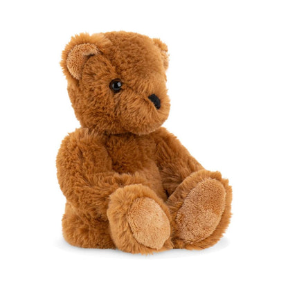 Brown teddy bear on a white background