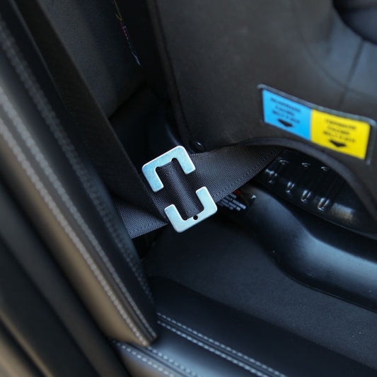 infasecure gated locking clip